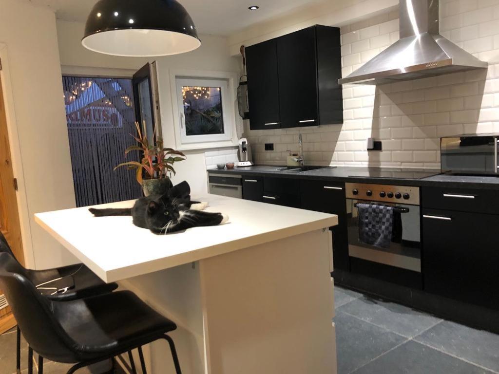 Studio Dream On Met Zonnige Terras Daire Oostende Dış mekan fotoğraf